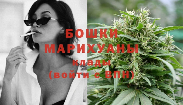 индика Алексин