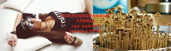 индика Алексин