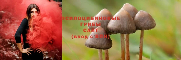 герыч Алзамай
