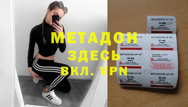 индика Алексин