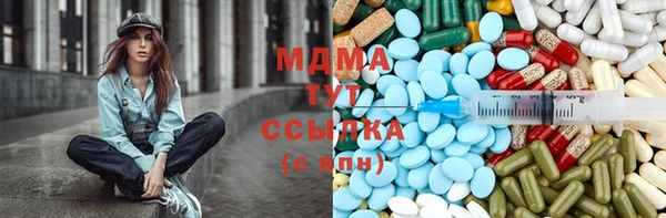 индика Алексин