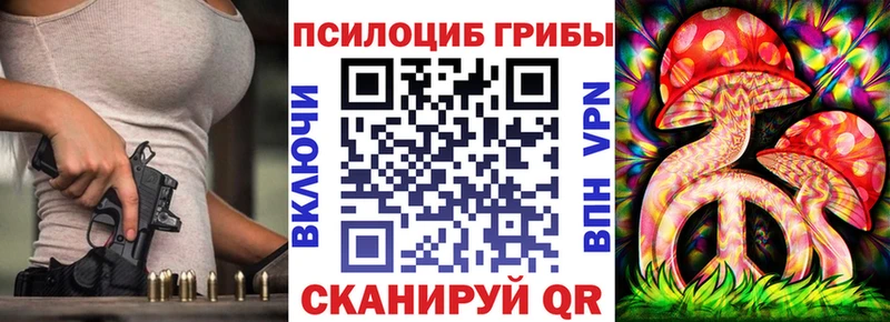 Галлюциногенные грибы Psilocybine cubensis  omg как зайти  Ветлуга 